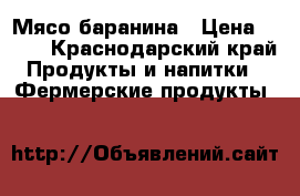 Мясо баранина › Цена ­ 260 - Краснодарский край Продукты и напитки » Фермерские продукты   